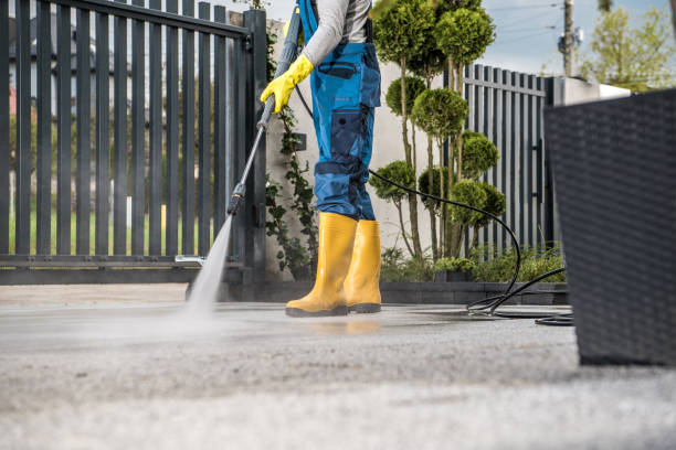 Professional Pressure Washing Services in East Lake, FL